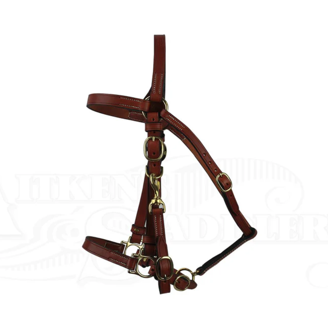 Australian Made Barcoo Bridle with Halter